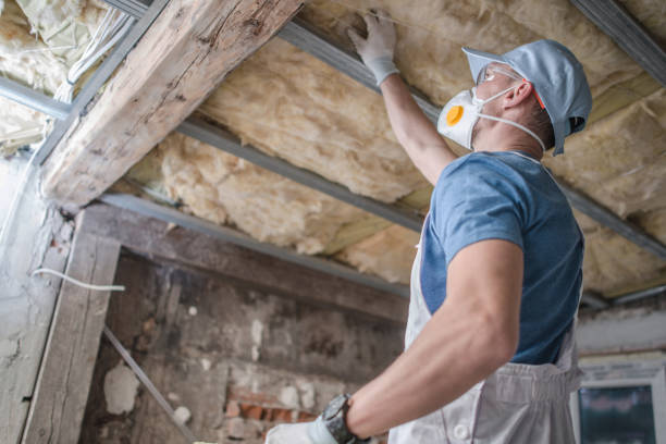 Best Insulation Removal  in Taos, MO