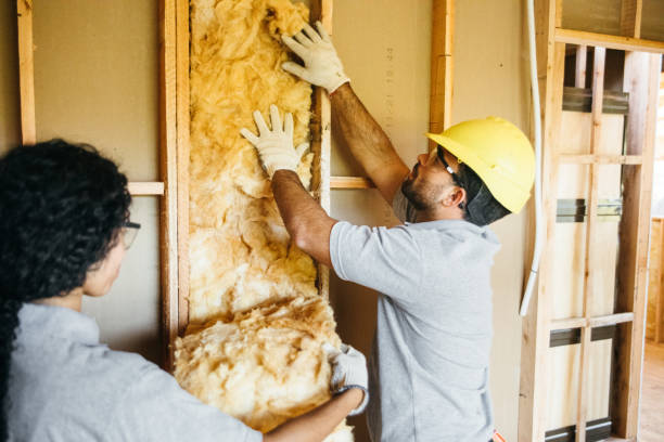 Best Insulation Removal  in Taos, MO