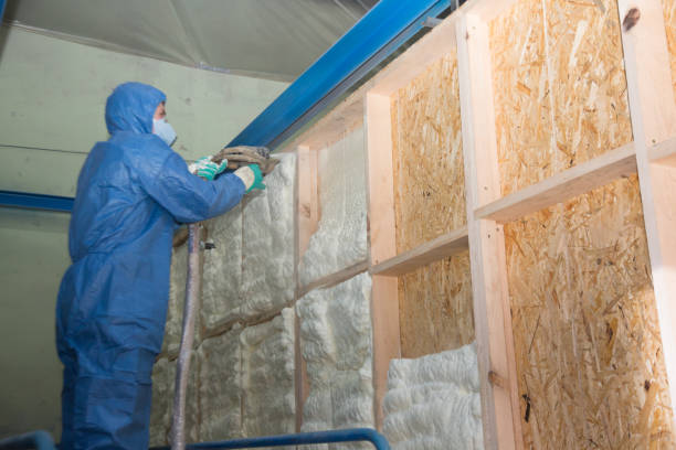 Best Insulation Inspection Services  in Taos, MO
